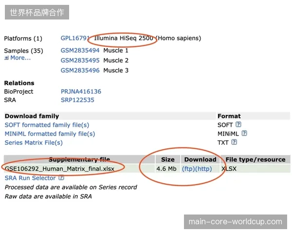 为何国际转播中心放弃传统Excel盘点转而启用芯片标签管理
